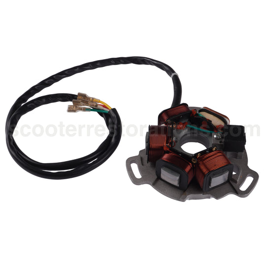 12V AC Electronic Ignition Stator Plate (Black)